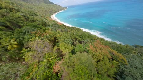 Lush-tropical-jungle-and-remote-sandy-beach,-Playa-San-Rafael