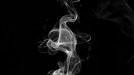 White smoke animated overlay, transparent 4K video, alpha channel, ProRes 4444