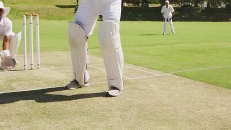 Cricketspieler-Schießt-Den-Ball-Auf-Einem-Spielfeld-Ein