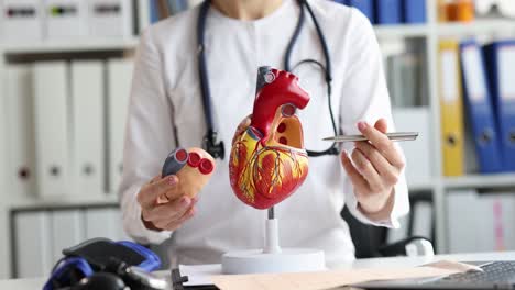 doctor explaining human heart anatomy with a model