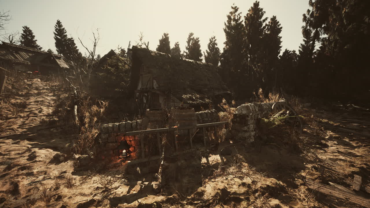Abandoned rustic cabin surrounded by trees and overgrown vegetation at sunset