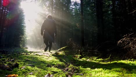 Low-angle-shot-of-a-male-traveler-hiking-with-backpack-trekking-through-pine-forest