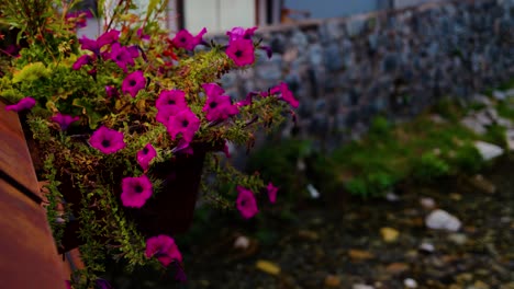 bright pink flowers in a rustic planter add color to a stone wall near a small stream