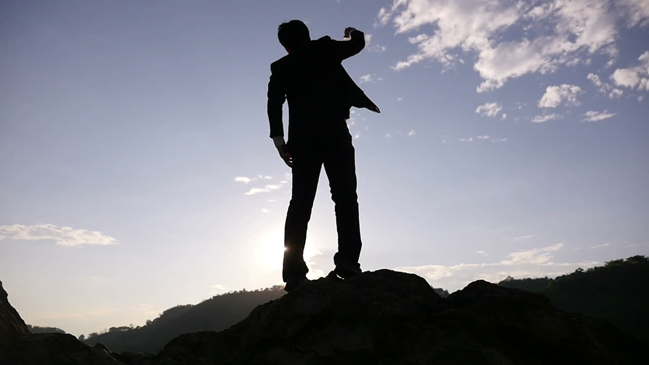 Businessman Celebrating Success on Mountaintop