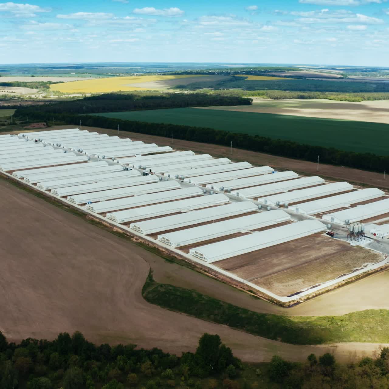 Overhead view of poultry farm