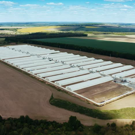 overhead view of poultry farm