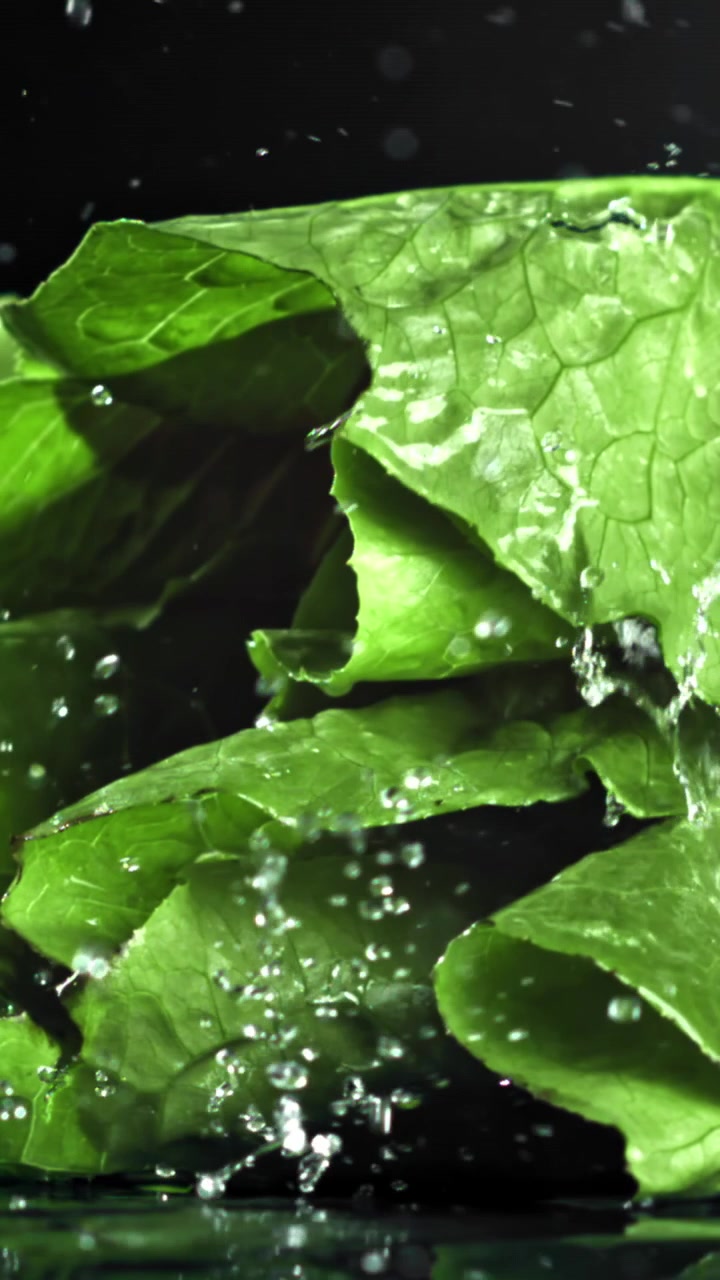 Acqua che schizza su foglie di lattuga fresche e verdi al rallentatore