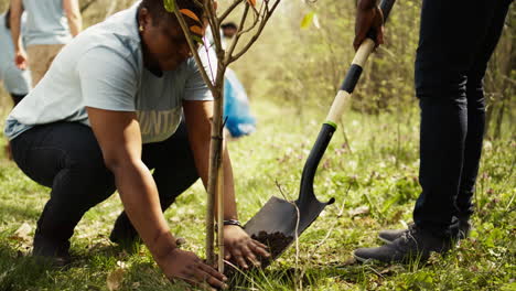 Volunteers filling up holes after planting trees around the forest