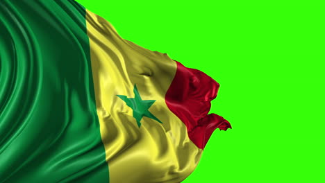 senegal flag on green screen