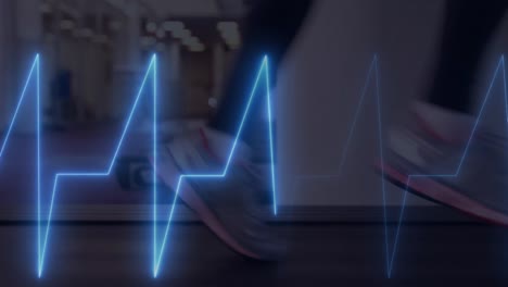 animación de cardiógrafo sobre personas deportivas que hacen ejercicio