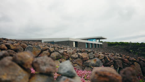 close up shot of the wine company located around the lava rock for vineyard walls in the azores, portugal