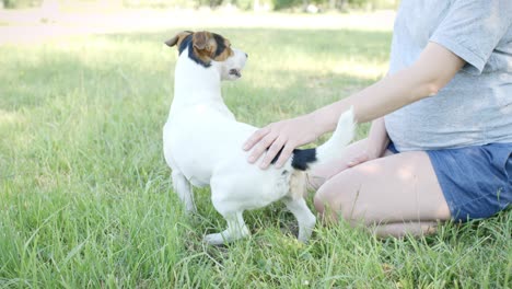 woman with her dog on the grass