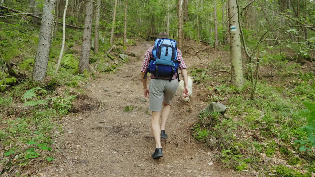 당신이 가장 좋아하는 개와 함께 하이킹을 하면서 배낭을 메고 숲길에서 애완동물을 뒤쫓는 남자