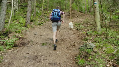 in a hike with your favorite dog a man with a backpack runs after his pet on a forest path