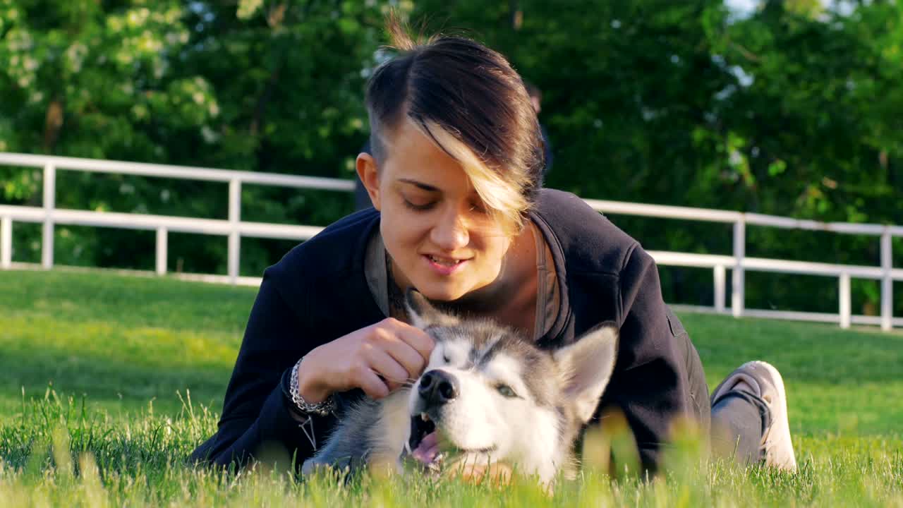 공원 밖에서 재미있는 허스키 개와 놀고 있는 아름다운 젊은 여성