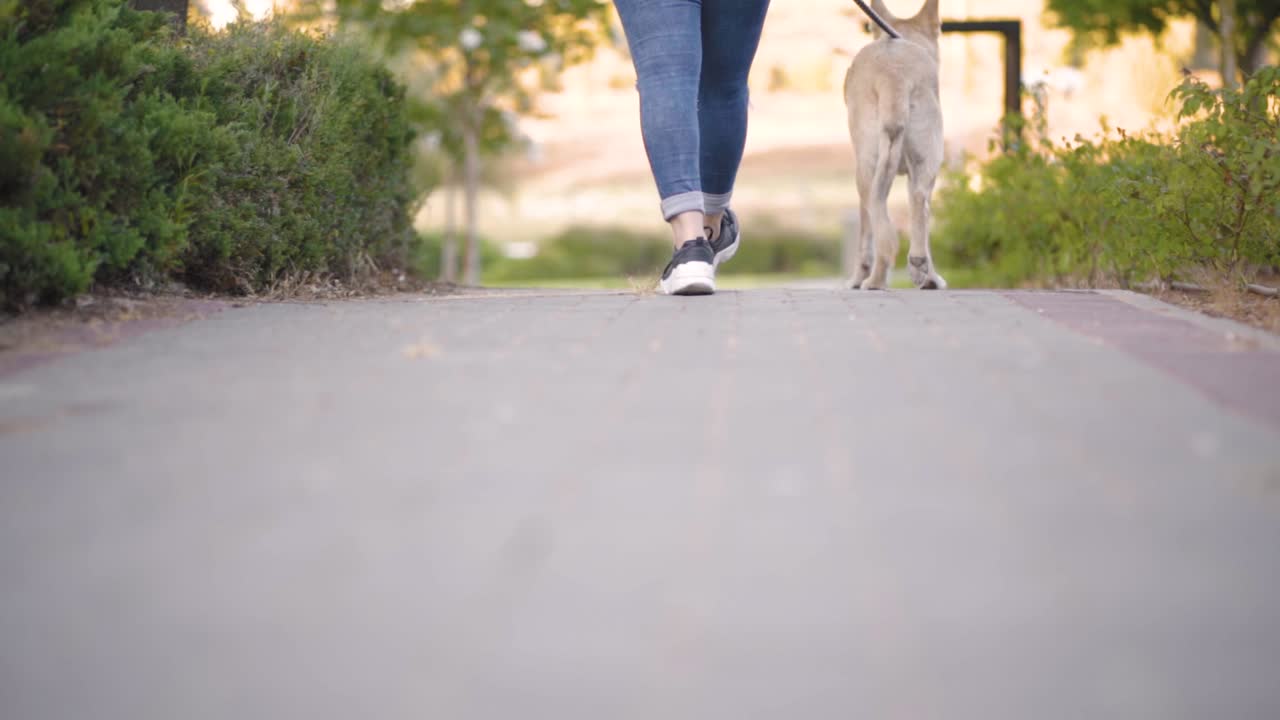 chica paseando a un perro en el parque
