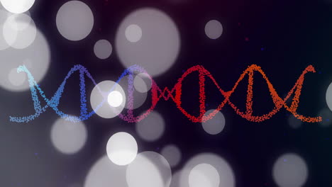 animating dna strand with bokeh lights on dark background