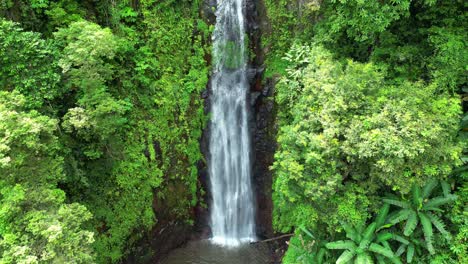 aerial view from sao nicolau waterfall,sao tome,africa. drone shot backwards 50 fps