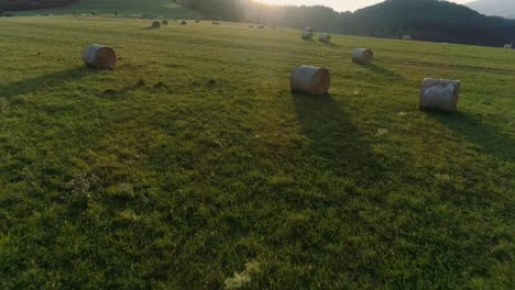 vuelo de drones sobre un exuberante campo verde con fardos de heno redondos dispersos