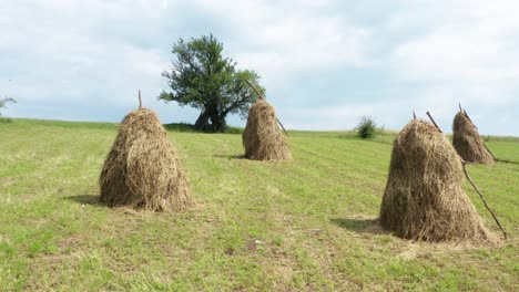 Traditionelle-Heuhaufenrinder-Ernähren-Sich-In-Abgelegenen-Europäischen-Landschaften,-Wilden-Weiden