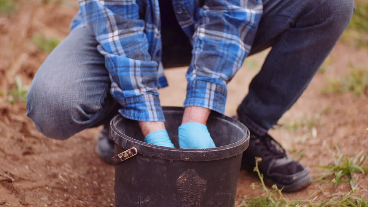 Farmer Examining Herbicides Fertilizer In Hands Before Fertilizing Agriculture Field 6