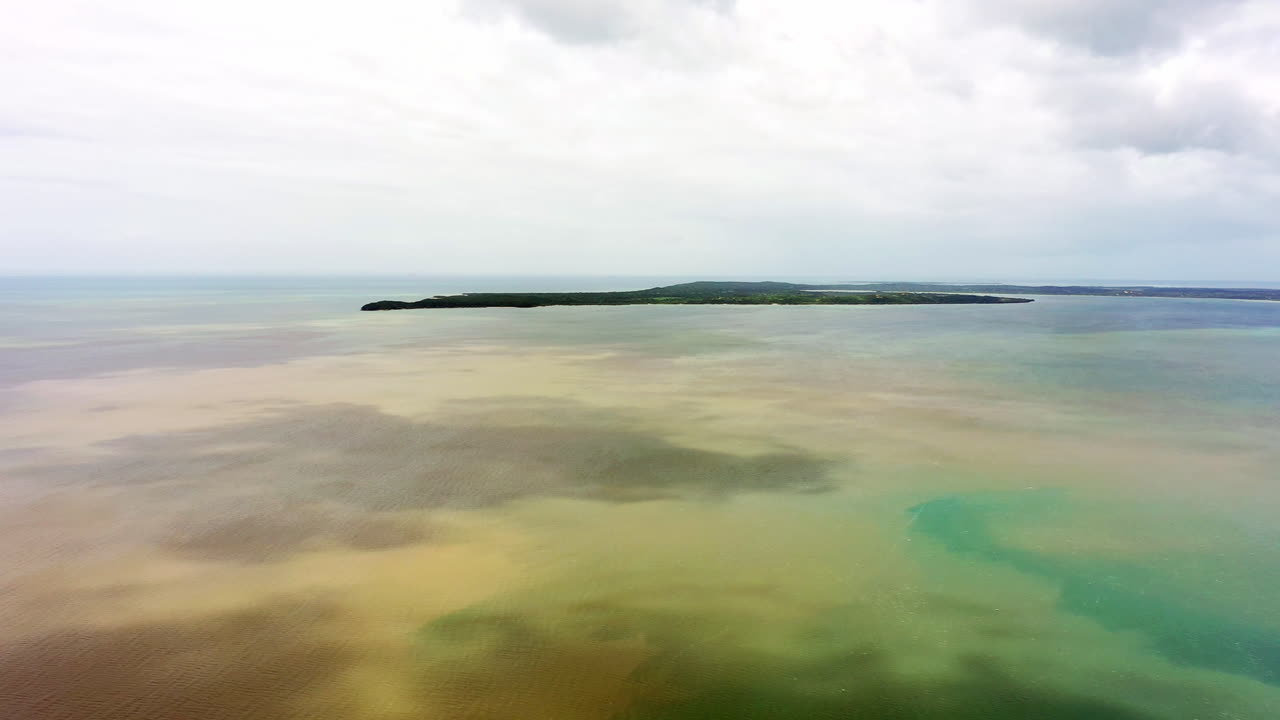 no hay un solo humano a la vista.