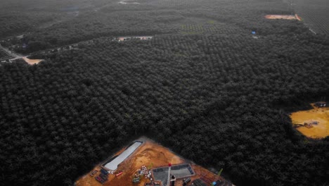 Cinematic-4K-Drone-Footage-of-Onshore-Drilling-Rig-equipment-structure-for-oil-exploration-and-exploitation-in-the-middle-of-jungle-surrounded-by-palm-oil-trees-during-sunset-and-high-oil-price