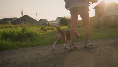 vista trasera de una mujer caminando con un perro en la correa a lo largo de un camino de tierra cerca de tierras de cultivo rurales, el perro olfateando el suelo, la luz del sol brillante proyectando largas sombras, el entorno rural con casas y vegetación