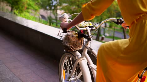 close up view of and unrecognizable woman riding a city bicycle with a basket and flowers. steadicam shot. slow motion