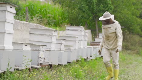 Honigproduktion.