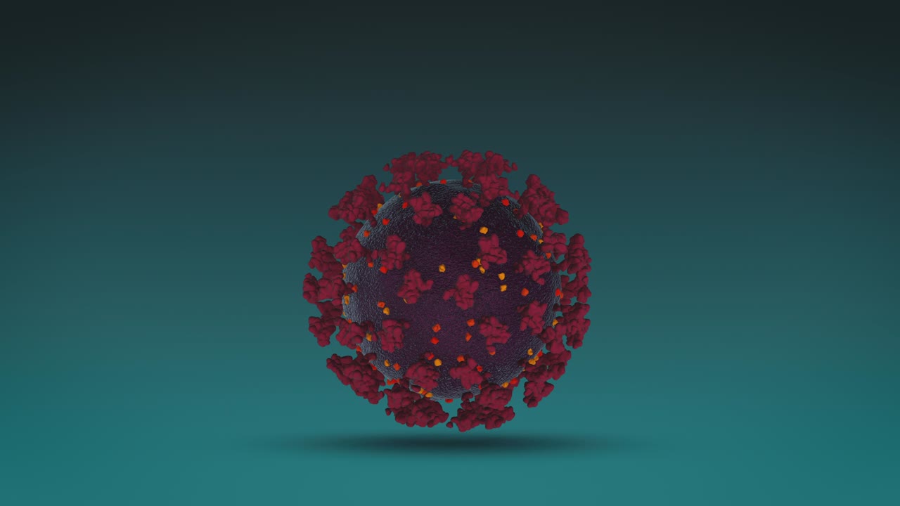 coronavirus, vista por microscopio