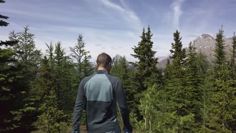 Hiker-walking-trough-pine-trees-at-mountain-range-Rockies-Kananaskis-Alberta-Canada