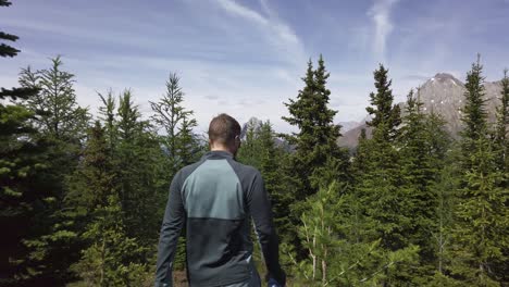 hiker walking trough pine trees at mountain range rockies kananaskis alberta canada