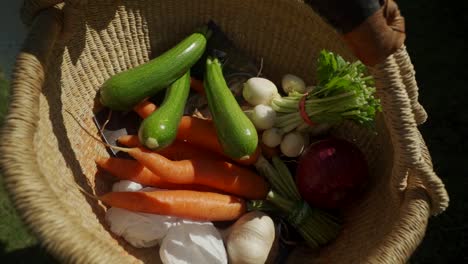 vegetable basket at vancouver island farmers market