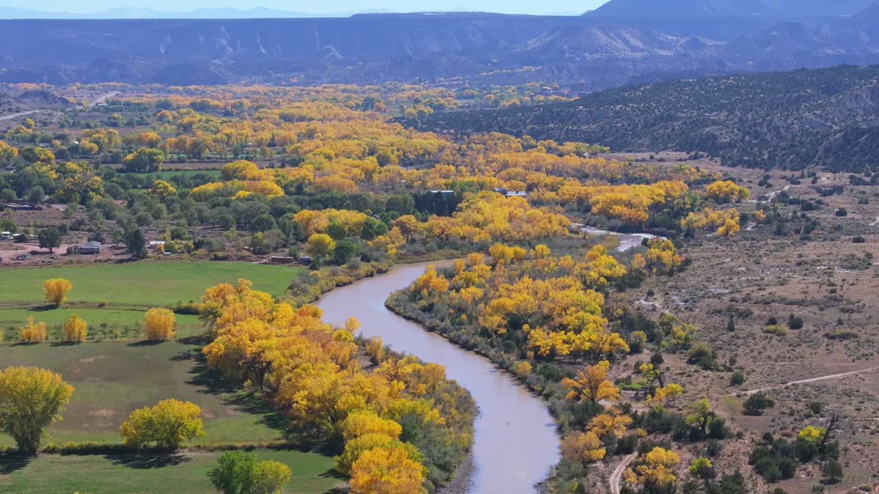 Golden cottonwoods along Rio Chama in Abiquiu, New Mexico during fall