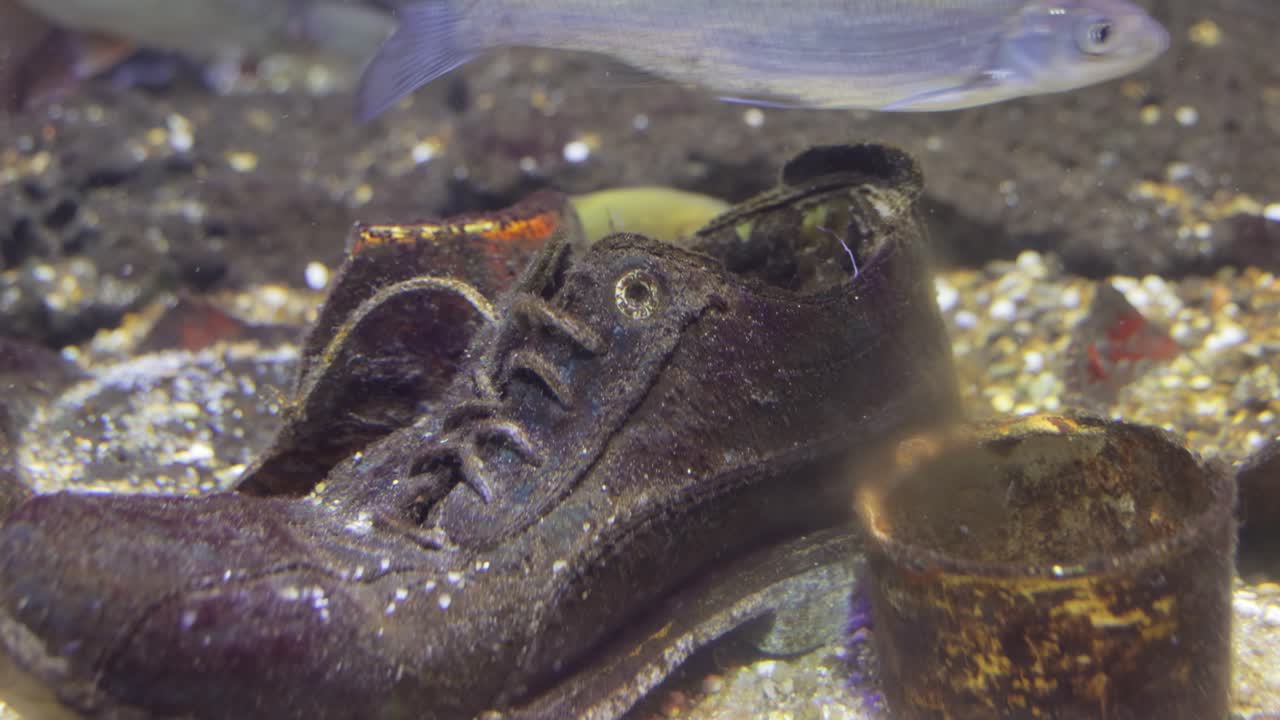 problemas medioambientales relacionados con la contaminación del agua.