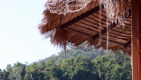 static view of a thatched roof against greenery