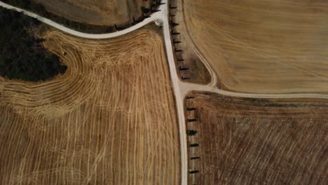 Aerial-movie-location-of-Gladiator-starring-Russell-Crowe-in-Val-d'Orcia-near-Siena,-Florence-and-Pienza-with-an-avenue-of-cypress-trees-leading-up-to-a-farm-with-harvested-wheat-crop-fields-on-hills