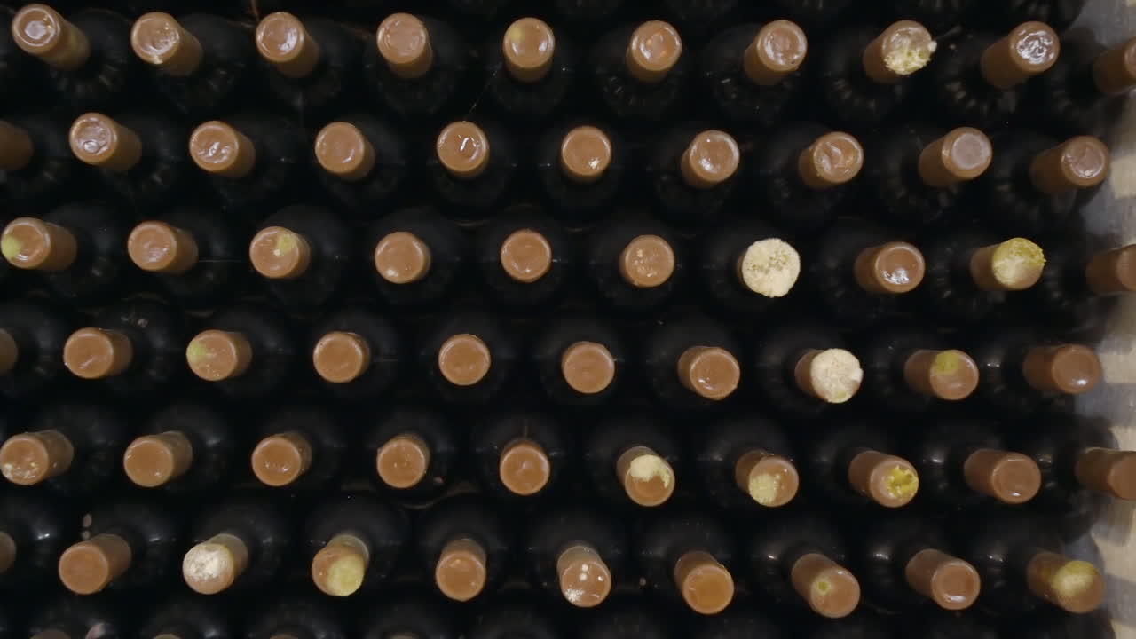 Wine bottles in a winery cellar