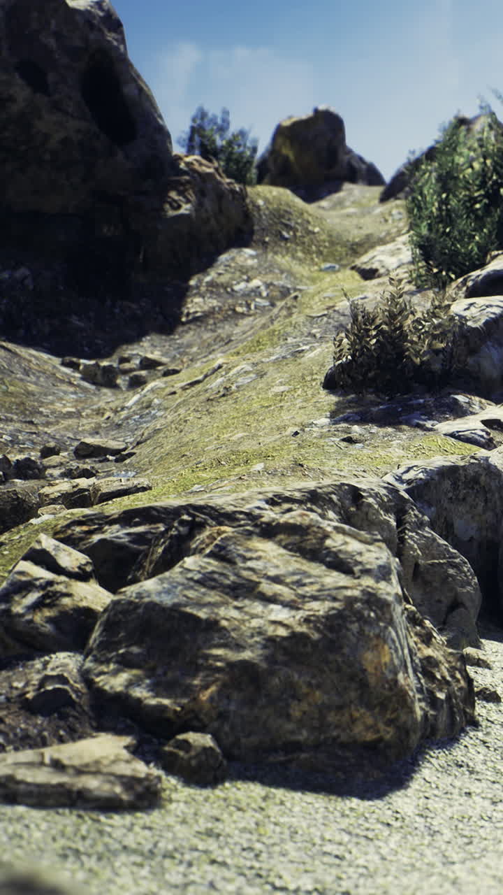 Rocce e vegetazione lungo un sentiero in una giornata di sole nella natura