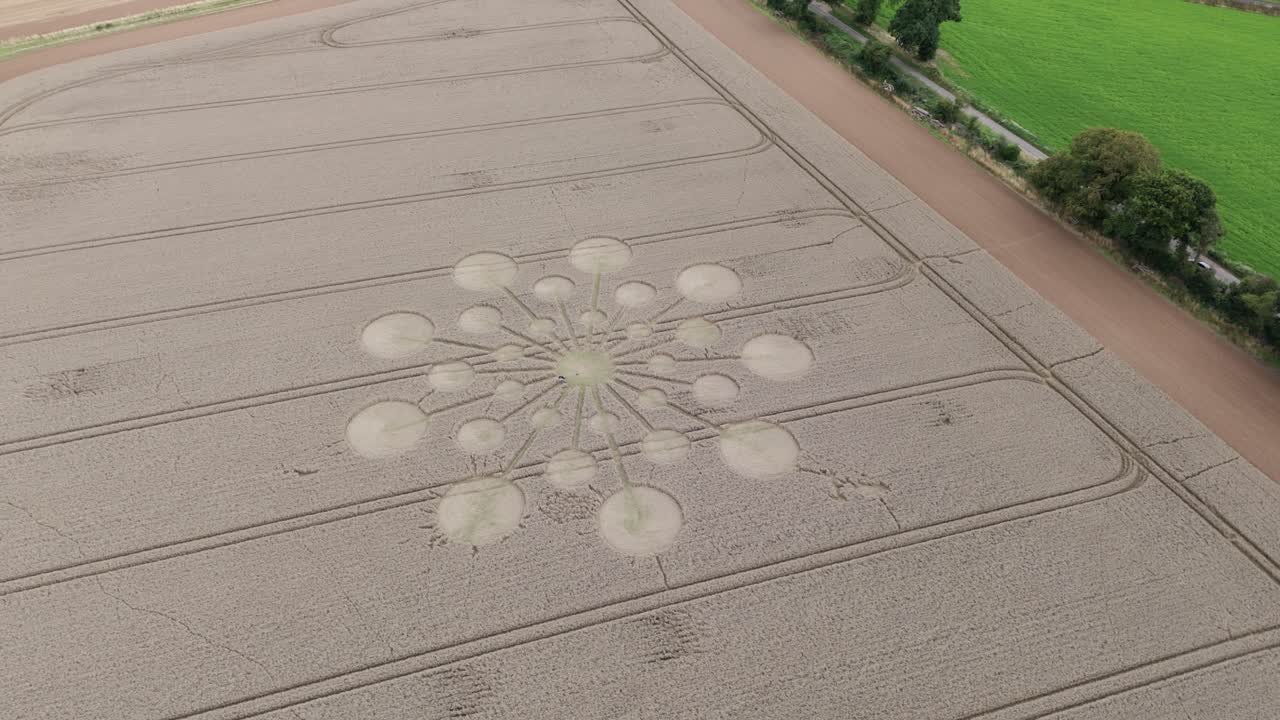 농지에서 수수께끼와 신비한 작물 원