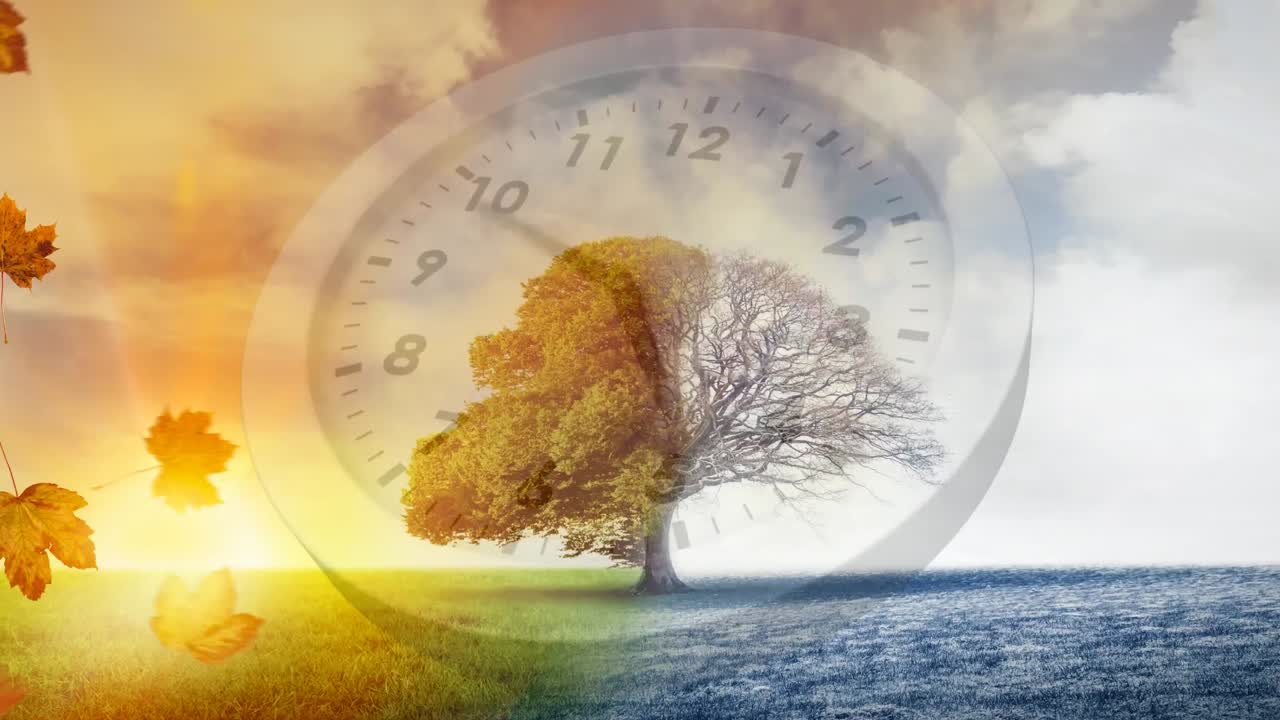 겨울과 가을 시즌