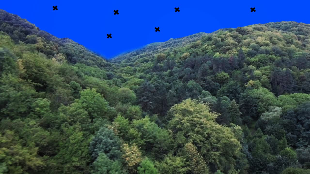 숲 위를 날아다니는 파란색 화면