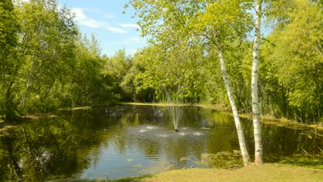 Ruhiger-Brunnen-Im-Freien-Am-Hochzeitsort