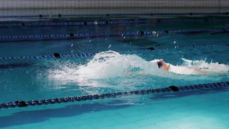 swimmer training in a swimming pool