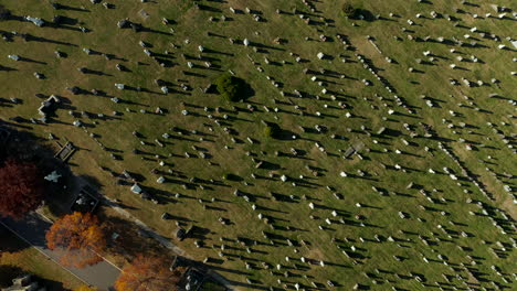 Aerial-birds-eye-overhead-top-down-view-of-large-historic-Calvary-Cemetery.-Tombstones-casting-shadows-on-green-lawn.-Queens,-New-York-City,-USA