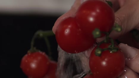 hands slowly and carefully rinsing the ripe cherry tomatoes one by one under the water tap - close-up shot