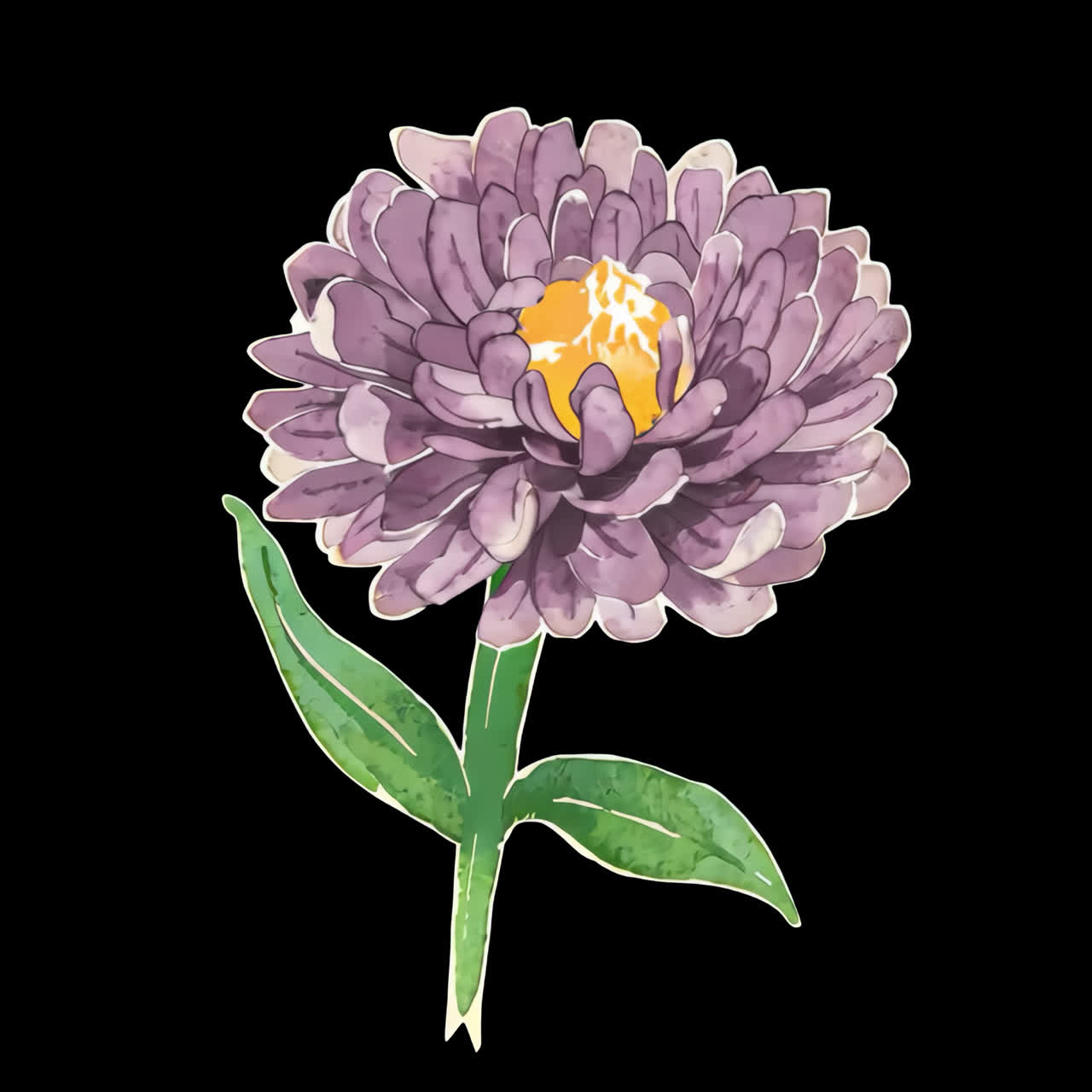 Purple watercolor flower illustration animation isolated asset, transparent 4K video, alpha channel