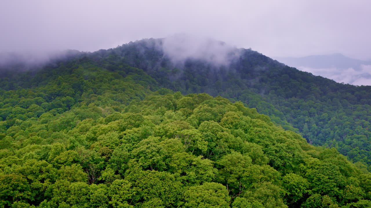 Moody drone shot of the fog-filled Smoky Mountain range
