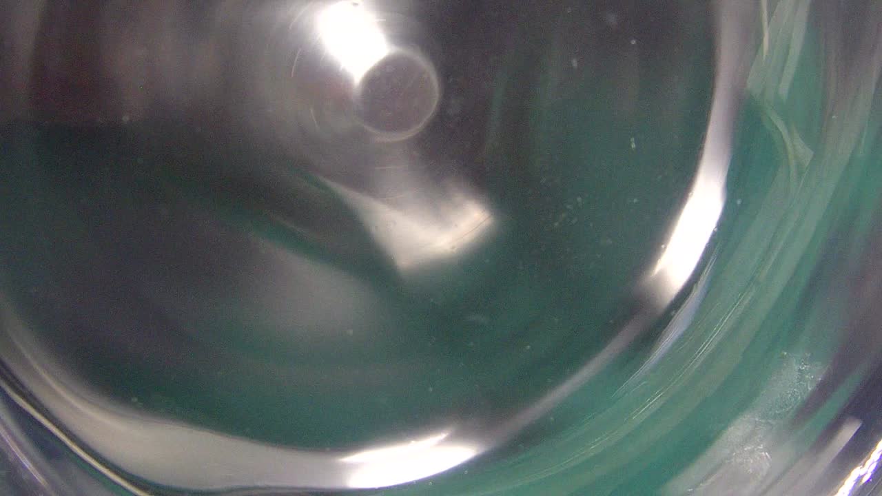 차에서 옷을 는 것